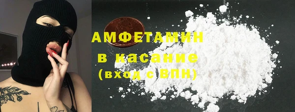 амф Пестово
