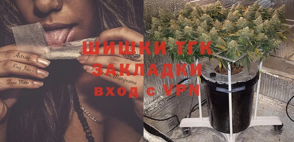 шишки Видное