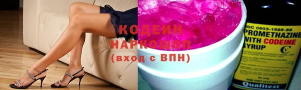 СК Весьегонск