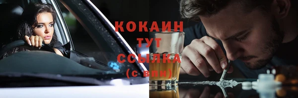 амф Пестово