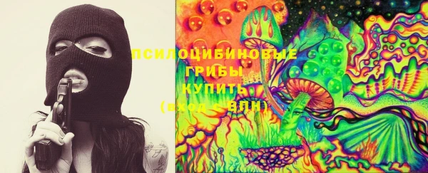 амф Пестово