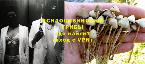 амф Пестово