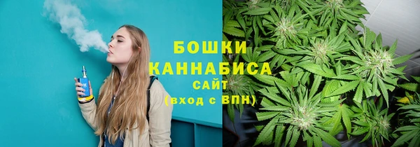 амф Пестово