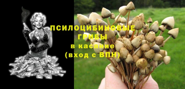 MDMA Переславль-Залесский