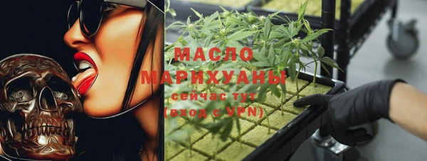 амф Пестово
