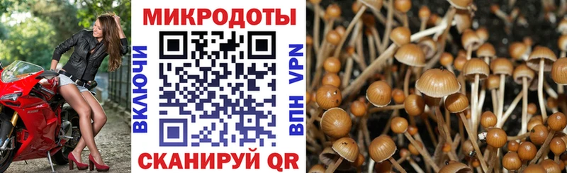Галлюциногенные грибы ЛСД  Старый Крым 
